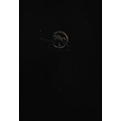 De 24ste Panzer-Division voormalige 1. Kavallerie-Division 1939-1945