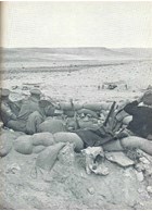 The Africa-Campaign 1941-1943