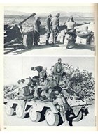 The Africa-Campaign 1941-1943