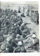 The Africa-Campaign 1941-1943