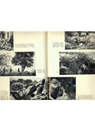 De ijzeren Vuist - Beeldband en kroniek van de 17de SS-Panzergrenadierdivision Götz von Berlichingen