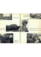 De ijzeren Vuist - Beeldband en kroniek van de 17de SS-Panzergrenadierdivision Götz von Berlichingen