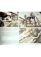 Tiger I and Sturmtiger in Detail