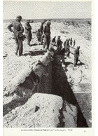 The Book of the Infantry