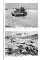 Eagles & Bulldogs in NOrmandie 1944