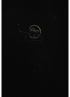 De 24ste Panzer-Division voormalige 1. Kavallerie-Division 1939-1945