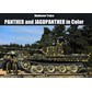 Panther and Jagdpanther in Colour